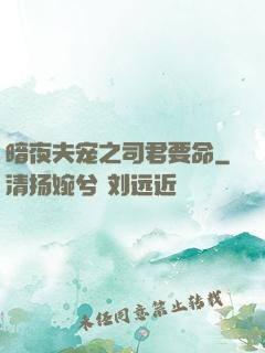 暗夜夫宠之司君要命